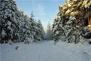 《最终幻想14》玩家超2400万 成系列最赚钱游戏